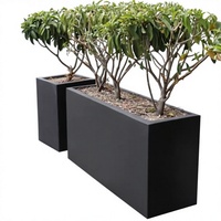 Bac à fleurs extérieur moderne et minimaliste en fer forgé galvanisé, jardinière commerciale pour plantes de rue, séparateur de carré floral