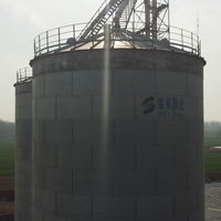 Silos per Cereali a Prezzo di Fabbrica in Acciaio Zincato a Caldo con Cono a Tramoggia per Stoccaggio di Cereali Sfusi e Chicchi di Caffè