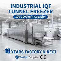 Premium Choice IQF Tunnel Vrieskast voor Biologisch Fruit en Groenten, Lage Dehydratieratio, Duurzame RVS-constructie