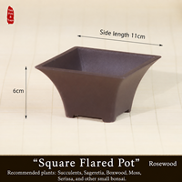 Pot de fleurs carré en résine de style chinois avec plusieurs trous de drainage, jardinière pour usage domestique pour les plantes succulentes, les cactus, les bonsaïs