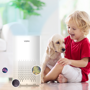 Purificateurs <span class=keywords><strong>d</strong></span>'<span class=keywords><strong>air</strong></span> PM2.5 de haute qualité à économie <span class=keywords><strong>d</strong></span>'énergie pour la chambre à coucher, la maison, filtre à 3 couches pour la fumée, le <span class=keywords><strong>pollen</strong></span>, les allergies - Product Image 3