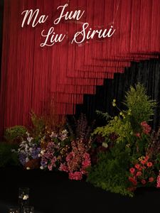 Wedding Decor Backdrop Decorative <strong>Window</strong> <strong>Curtain</strong> <strong>String</strong> Drapes - Product Image 4