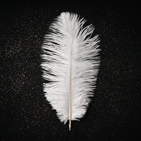 Plumes d'autruche blanches teintées de 30-35 cm en gros pour fêtes, carnavals, bricolage, artisanat, vêtements et décoration