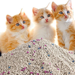 Toptan OEM doğal güçlü topaklanma Bentonite kedi kumu çok lezzet ücretsiz örnek Flushable kedi kumu toplu 5/10/20kg - Product Image 3