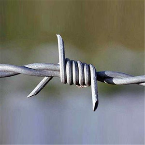 Fil de fer barbelé torsadé en acier galvanisé 16GA 1,6 mm - Product Image 1