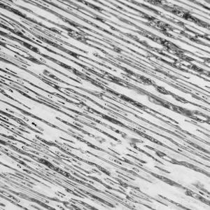 Kim loại dập nổi tấm kim loại dập nổi Tấm hỗ trợ cho dập nổi Bark mô hình thép không gỉ tấm tấm kim loại chế tạo - Product Image 1