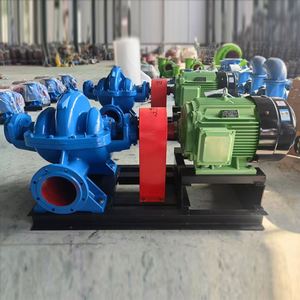 Bomba de Agua Centrífuga de Gran Caudal y Doble Succión, Tipo Hierro Fundido, Acero Inoxidable, para Riego Agrícola, OEM - Product Image 5