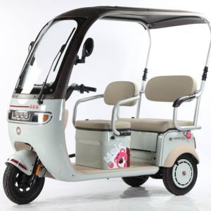 3 <b>Wheel</b> 60V 3 Speed Scooter Tricycle for 2 Adults Passenger Seat Home Roof - Product Image 2