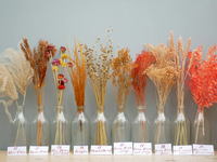 Bunga kering musim gugur bunga kecil oranye campur 1-3-5-10 stemsylow BrownGolg gandum gandum gandum Oat rumput kering ekor kelinci