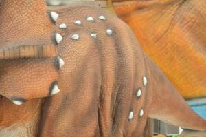 Costume de dinosaure jurassique <span class=keywords><strong>Triceratops</strong></span> pour deux personnes, 5 mètres, avec conception de marche à pattes cachées, pour centre commercial intérieur - Product Image 4