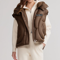 Veste d'hiver matelassée surdimensionnée pour homme, design personnalisé OEM/ODM, logo, veste gonflée personnalisée, streetwear, 2025 à 2026