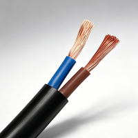 Anti-Aging RVV 2-adriges Steuerkabel Flexibler Kupferleiter PVC-ummanteltes Elektrokabel