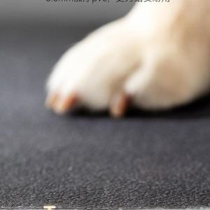 Nid pour chien, matelas universel pour chien et chat, toutes saisons, matelas pour animaux de compagnie, matelas chaud et doux pour l'hiver, coussin pour animaux de compagnie en une seule pièce - Product Image 3