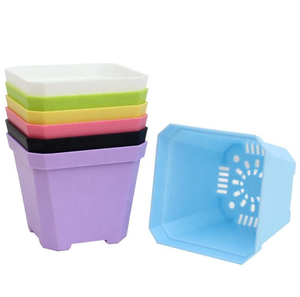 Colorful Square Plastic Plant Pot Planter Flower Pot with Pallet Tray Saucer Decoration of Home Office Desk Garden Flower Shop
