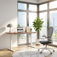 Bureau électrique réglable en hauteur à levage rapide, double moteur, pour télétravail, mobilier de bureau intelligent, table d'ordinateur ajustable
