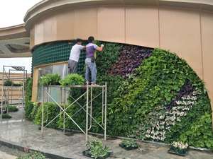 Jardinières murales verticales modernes en plastique vert, pots auto-arrosants pour plantes d'intérieur et d'extérieur, plantes murales vertes écologiques - Product Image 4