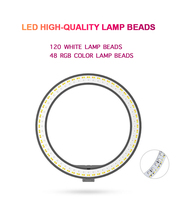 Hot 10 pouces Led Tiktok Ringlight avec support pour téléphone RGB Ring Light avec trépied de bureau éclairage de photographie pour youtube