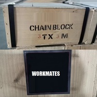 Chine usine faire manuel chaîne levier bloc scellé roulements à rouleaux 0.5ton 6ton 10ton levier bloc