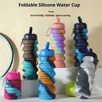Bouteille de voyage pliable portable 500 ml, gobelet en silicone, bouteille d'eau peu encombrante pour le camping et la randonnée
