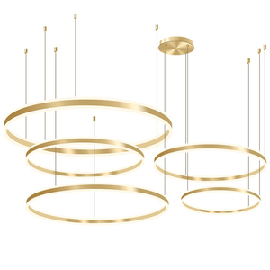 Ballsaal Ring Kronleuchter Glitter Copper Art Puzzle Blast Pendel leuchten Nordic Hall Dekorative Decken leuchte - Product Image 5