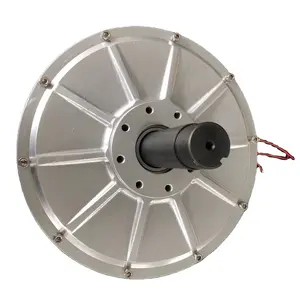 Custom 5kw 2000Rpm Coreless Disc 3 Fase Stille Gratis Energie Elektrische Energie Lage Rpm Magneet Motor Generator Dynamo