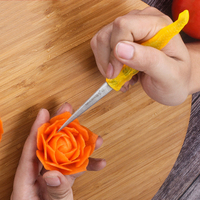 ABS Transparant Kunststof Vaste Lemmet Roestvrij Staal Multifunctioneel DIY OEM Fruit- en Groente Snijmes