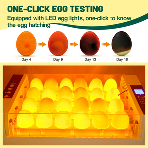 Incubateur et éclosoir automatique HHD pour 24 œufs de volaille, canard, oie, poulet, <span class=keywords><strong>caille</strong></span> et autres oiseaux - Product Image 5