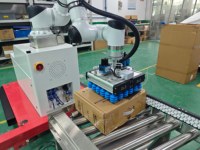 Paletizador Colaborativo de Diseño Modular para Alimentos y Bebidas, Ahorro de Espacio, 8-10 Cajas, Altura Mínima 1600 mm, Caja de Plástico, Capacidad de Carga 30 kg