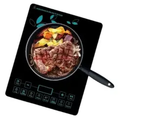 Hoge Kwaliteit Smart Cooker Inductie Handige Bediening 2200W Elektrische Inductiekookplaat