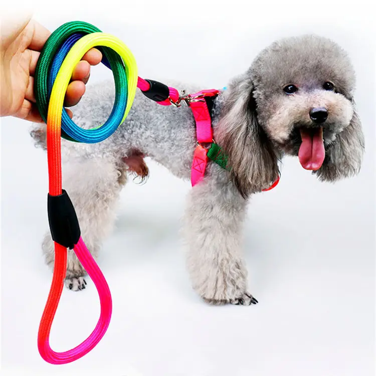 NINE STAR Pet Colorful Round Rope Teddy Chest Strap Flat Durable Nylon Belt Color Dog Leash With Harness Multi Colors