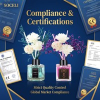 Diffuseur de parfum professionnel OEM 50 ml de luxe avec étiquette privée personnalisée pour les boutiques e-commerce