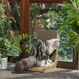 Grattoir en bois avec coussin en sisal, jouet d'intérieur pour animaux de compagnie pour affûter les griffes, accessoire pour la maison - Product Image 2