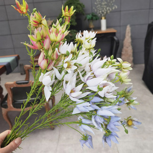 Vente chaude : Tiges de <span class=keywords><strong>lotus</strong></span> des neiges en soie réalistes, fleurs artificielles haut de gamme à branche unique pour la décoration de mariages et événements de luxe, approvisionnement en gros - Product Image 2