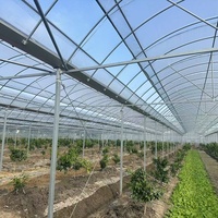 Serre d'extérieur Yanpeng GT BMLD en métal, grande, multi-travées, commerciale, en plastique, pour l'agriculture, facilement assemblable, vente en gros