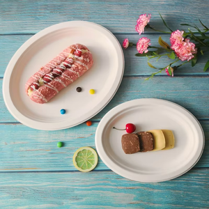 Assiette ovale biodégradable en bagasse de haute qualité, 10x8, jetable, <span class=keywords><strong>micro</strong></span>-ondable, alimentaire, pour desserts et fêtes - Product Image 3