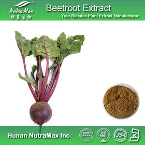 赤ビート根エキス粉末 ベタレイン粉末 ベタニン4%含有、4:1～20:1、ジュース粉末 - Product Image 4