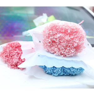 干燥绣球花保存白色永恒花天然绣球花勃艮第绣球花 - Product Image 1