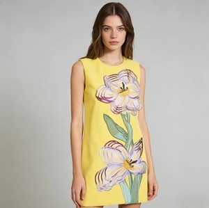 Abito da donna primaverile 2026 OEM senza maniche, scollo rotondo, ricamato floreale, patchwork, con stampa a olio, linea ad A - Product Image 6