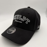 Fabricante de Gorras Personalizadas OEM, Gorra de Béisbol de 5 y 6 Paneles, de Algodón y Gamuza, de Alta Calidad, con Logotipo Bordado Personalizado