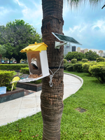 Mangeoire à oiseaux intelligente AI avec caméra Station d'observation des oiseaux WiFi extérieure à énergie solaire avec application d'enregistrement vidéo pour le jardin