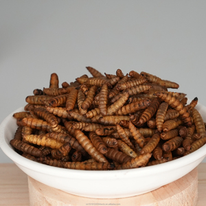 Larva Lalat Tentara Hitam yang Diangkutkan Secara Alami - Tanpa Bahan Tambahan, Pilihan Lebih Sehat, Perhatikan Pertumbuhan Hewan Peliharaan Anda dengan Jelas - Product Image 5