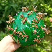 Hangende vliegenvanger voor buiten, insectenvanger, wesp- en muggenvanger, vliegende insectenbal, wespenval