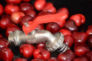 ก๊อกน้ำทองเหลืองสำหรับสวน ขนาด 3/4 นิ้ว พร้อมหัวต่อสายยาง |   ก๊อกน้ำกลางแจ้ง |   เทอร์โมสไตล์ THS ® - Product Image 4