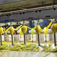 Premium kwaliteit zachte gedroogde mango, zoete smaak, gesneden, Vietnam oorsprong, cadeauverpakking, vacuüm verpakt voor internationale importmarkten