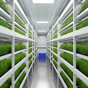 Hydroponic Fodder Container System for USA Australia Canada <strong>UK</strong> Cattle Sheep Goat Feed Production - Product Image 4