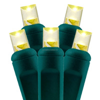 Factory Direct US Gauge IP65 Wasserdicht 5m 50 Lichter Outdoor Weihnachts baum Dekoration LED Lichterkette mit Dimmer