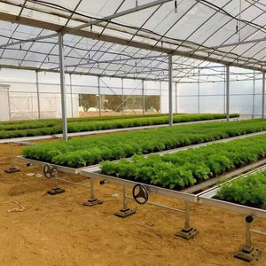 Support <span class=keywords><strong>de</strong></span> plantation à chaud <span class=keywords><strong>en</strong></span> <span class=keywords><strong>gros</strong></span> support <span class=keywords><strong>de</strong></span> semis mobile personnalisable pour culture <span class=keywords><strong>de</strong></span> légumes <span class=keywords><strong>en</strong></span> serre - Product Image 6