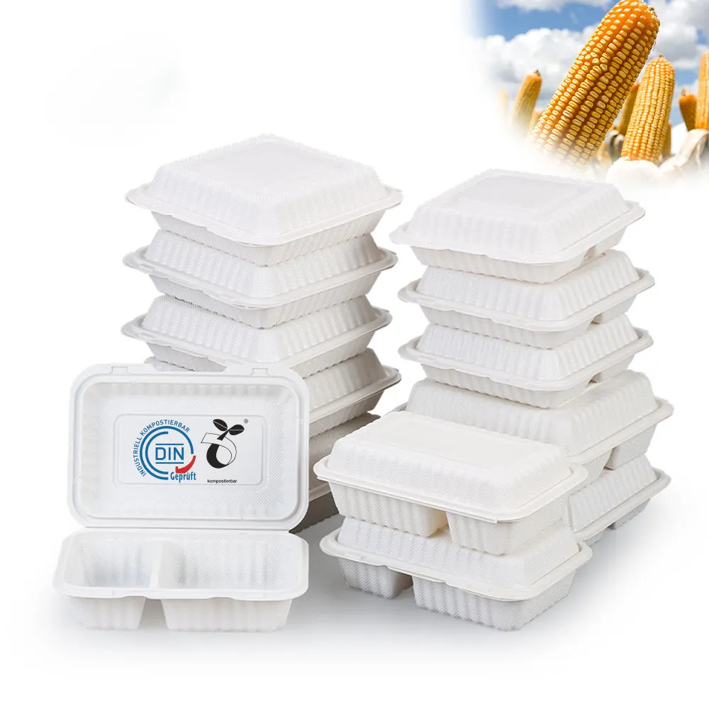 Biodegradable 9x9 Disposable Take-Away Meal Prep Containers PP Hinged Clamshell Design Plastic Lunch Go Boxes Restaurants Food