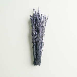 Flores de Lavanda Secas Naturales de Alta Calidad al por Mayor, Color Morado, Decoración para Bodas, Hogar y Fiestas, para el Día de la Madre, Precio de Fábrica - Product Image 5