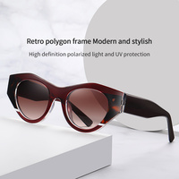 Gafas de Sol de Diseñador al por Mayor, de Marca de Lujo, Unisex, Retro, TR90, Acetato, Moda Y2K, Estilo Ojo de Gato, Polarizadas, con Logotipo Personalizado para Mujer